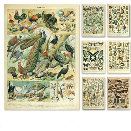 Palaeobios Plant Vintage Flower Animal Insect Butterfly Mushrooms Canvas Painting Posters Print Wall Art Pictures Home Decor