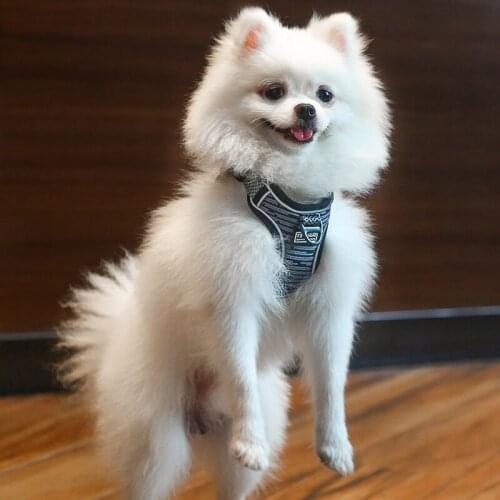 Brijoo Harnesses