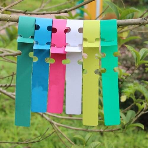 100pcs Wrap Around Plastic Plant Labels Tree Twigs Tags 5 Colors