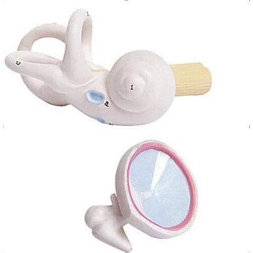 Ear study teaching Model - 3 Parts ATT