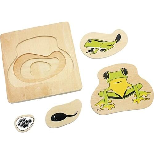 Infant Montessori Teaching Aids Toddler Life Cycle of Frog Puzzles Multi-layer Grow Up Puzzles Jigsaw Preschool Kids Baby Toys