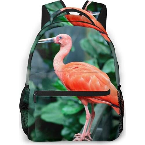 OLN Women Backpack with Multiple Using Women Backpacks Scarlet Ibis Photo Female School Bag Girls Travel Bag
