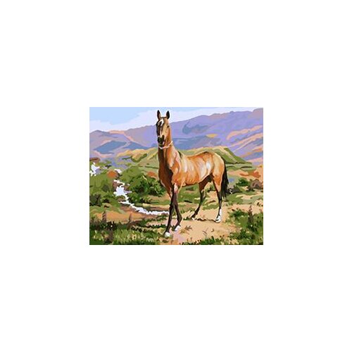 MaHuaf-W866 smart horse in field Animal Picture Acrylic DIY Paint by Numbers on Canvas for home decor