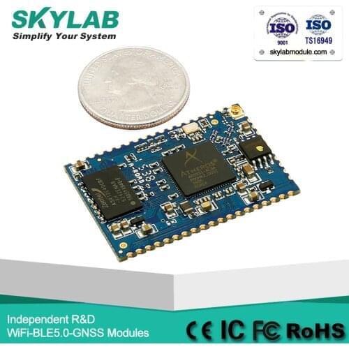 SKYLAB Processors