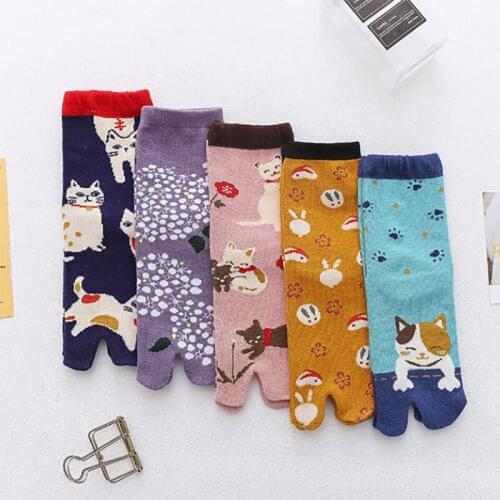 Two-toed Socks Female Cotton Autumn Winter Thick Cartoon Animal Sweat Two Toe Socks Kawaii Socks Women Harajuku Cute Cat Sox