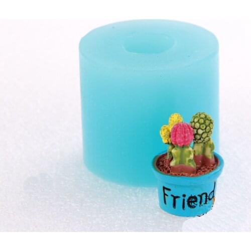 Silicone 3D mini potted succulent plant chocolate fandont birthday wedding cake decoration mold