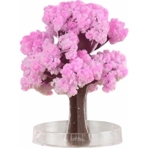 2020 9x8cm Cool!ThumbsUp!Magic Japanese Sakura Tree-Brand New Made in Japan Pink Magic Decorative Toy Growing Paper Trees Toys