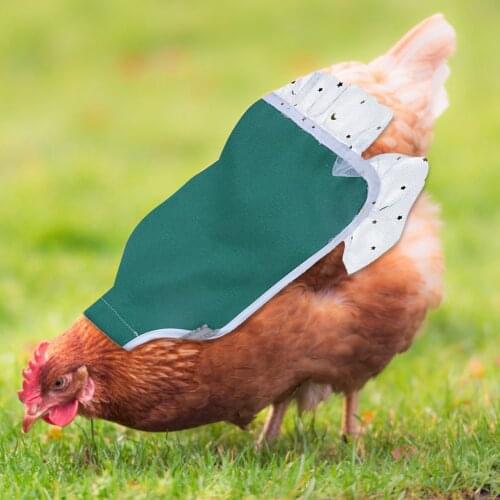 Hen Chicken Saddle Apron Back Wings Protector With Lace Edge Home Chicken Saddle Apron Good Elasticity For Protective Chicken