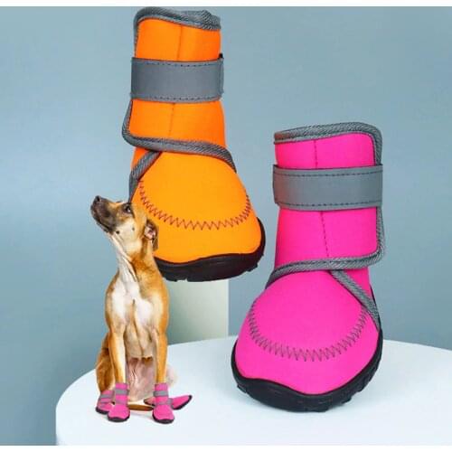 ASMPET Shoes For Dogs