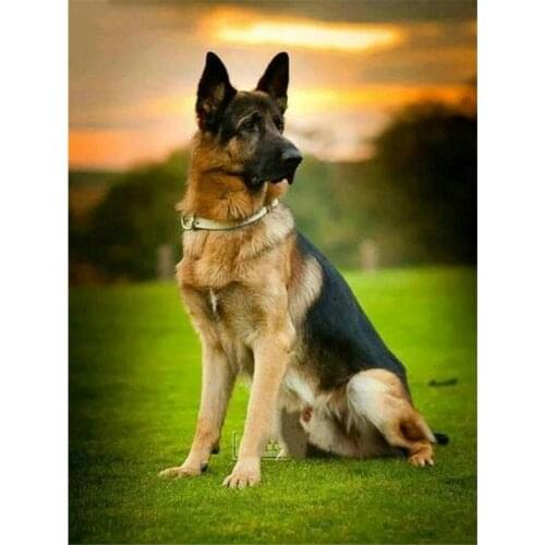Animal German Shepherd Pre-Printed 11CT Cross-Stitch Embroidery Kit DMC Threads Needlework Handmade Handicraft Package