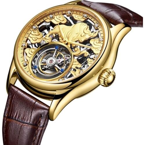 AESOP Mechanical Mens Watches Watch for Men Top Brand Luxury Real Tourbillon Male Skeleton Watch Man Clocks Watch dropshipping