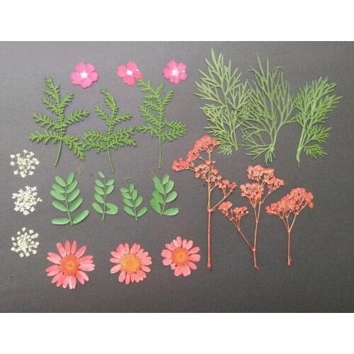 100pcs Mixed Dried Pressed Flower+ Leaf Leaves Plants Herbarium For Jewelry Postcard Photo Frame Phone Case Making DIY