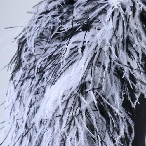 2 Meters 10 Ply Ostrich Feathers Boas Ostrich Plumes Shawl for Wedding Dresses Party Clothing Decoration Sewing Accessory Crafts