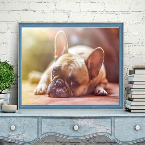YI BRIGHT DIY Square Round Diamond Painting Dog in the Sun 5D Mosaic Embroidery Animal Cross Stitch Handmade Art Home Decoration