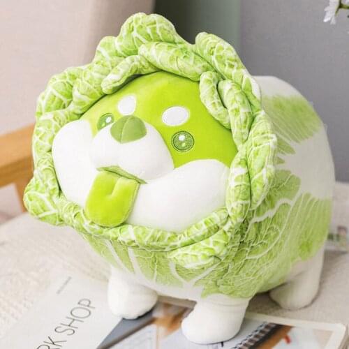 22-55cm Creative Cabbage Dog Plush Toy Soft Cartoon Vegetable Fairy Plant Stuffed Doll Comfortable Pillow Toys for Children Gift