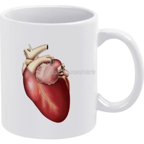 Illustration Of Human Heart. Coffee Mugs 330ml Creative Travel Mug and Cup Office Drinkware Mugs Tazza Illustrations Human Anato