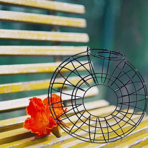 Squirrel Proof Hanging Seed Feeder Garden Birds Outdoor Feeding Station, 23cm Diameter