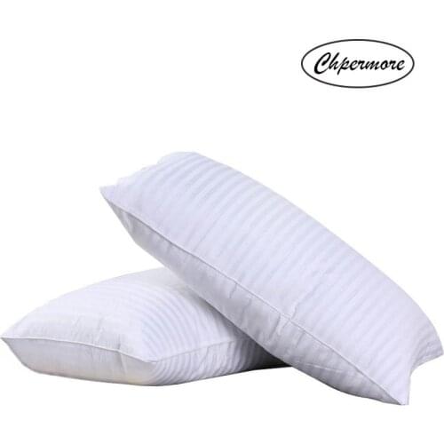 Chpermore 100% Mulberry Silk Pillow Five-Star Memory Pillows 48*74cm Orthopedic Neck Pillow With cotton cover Sleeping Health