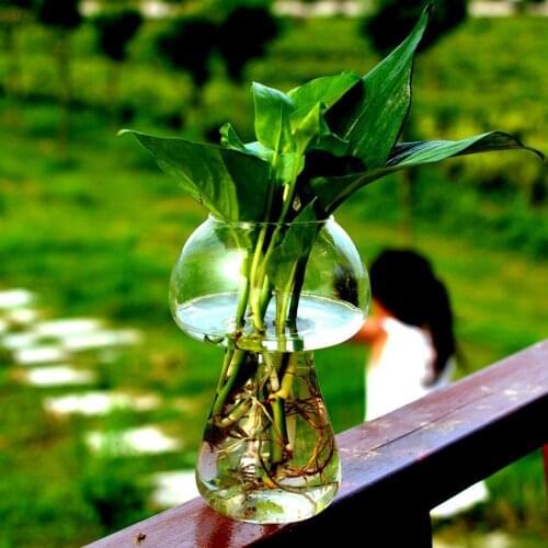 Mushroom Vase Flower Holder Garden Deocr Glass 8x8x12cm Creative European Transparent Bottle Decor Modern Style Ornaments Hot