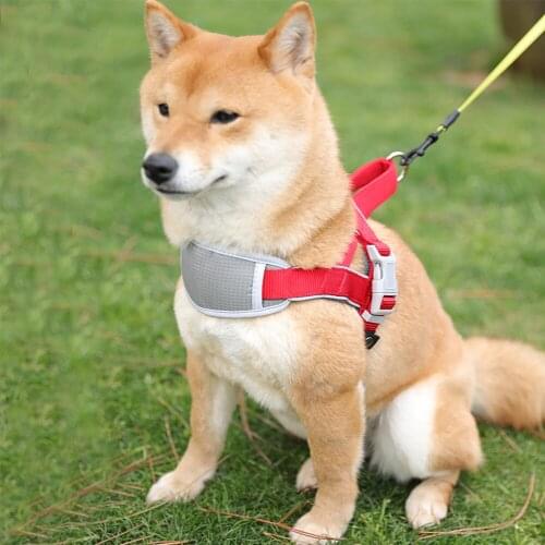 Pet Dog And Cat Adjustable Harness With Leash Reflective And Breathable For 5 Sizes Dog Harness Vest Pechincha Pet Supplies