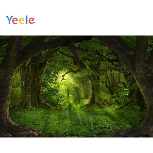 Yeele Dreamlike Jungle Forest Shine Photocall Baby Backdrop Prop Photography Background Customized Photographic For Photo Studio