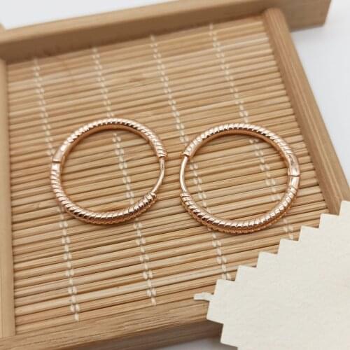 2021 Fall Moments Rose Snake ChainTexture Circle Earrings Is your inevitable style choice