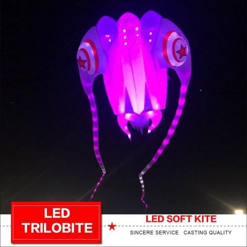 Led trilobite kite Soft kite show kite