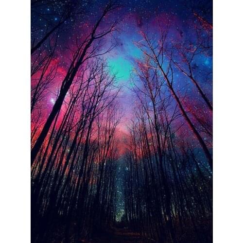 5d diamond painting cross stitch "Woods" landscape diamond embroidery Clusters of stars diamond mosaic decoration painting