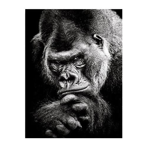 Monkey Animal Black White Art print Silk poster Home Wall Decor