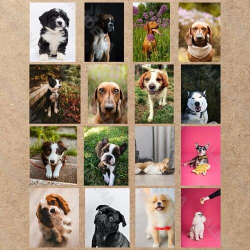Diy Diamond Painting Puppy Dog 2021 New Full Diamond Flower Handmade Point Diamond Bedroom Living Room Sticker Diamond Cross
