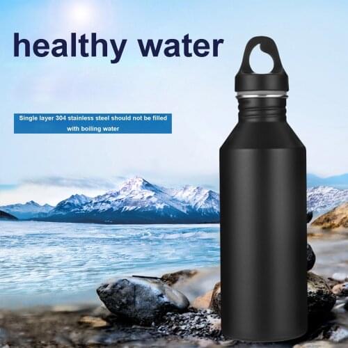 Newest Arrival 304 Stainless Steel Sports Bottle 650ML Large Capacity Portable Handle Tool for Children/Adult