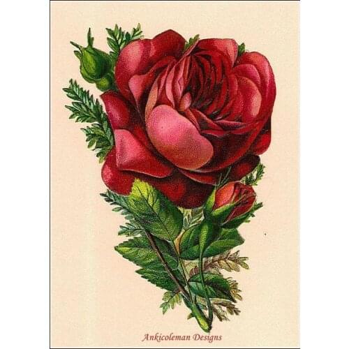 Embroidery Counted Cross Stitch Kits Needlework - Crafts 14 ct DMC Color DIY Handmade Decor - Flowers 102