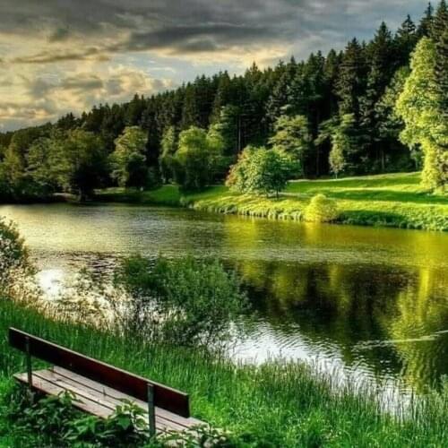 5D Diamond Painting Landscape Forest Full Square/Round Diamond Mosaic Sale Picture Rhinestone Diamond Embroidery Natural Scenery