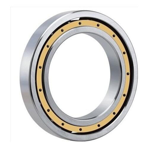 Gcr15 NJ1019 EM or NJ1019 ECM Brass Cage (95x145x24mm) Cylindrical Roller Bearings ABEC-1,P0