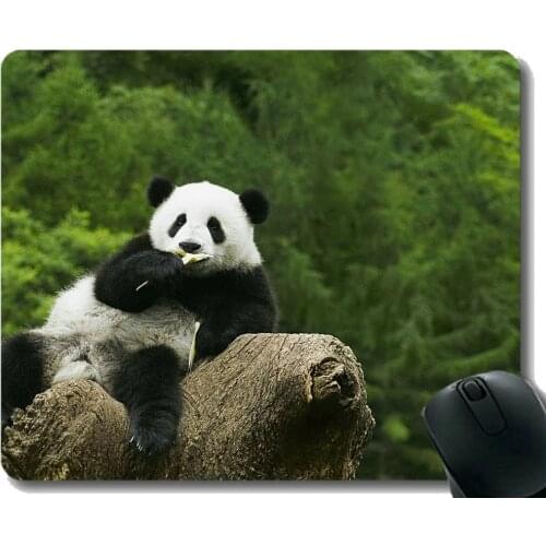 Mouse Pad with Stitched Edge,squishy Animal panda ,Mouse Mat,Non-Slip Rubber Base Mousepad for Laptop,Computer