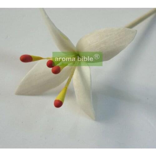 1000 pcs /lot Handmade sola wooden flowers for fragrance diffuser and home decor with 12cm Rope or rattan reed sticks