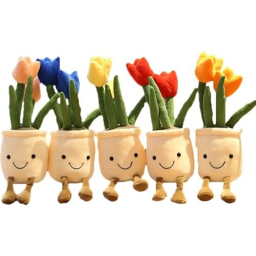 Plush Plants Mddtoys China