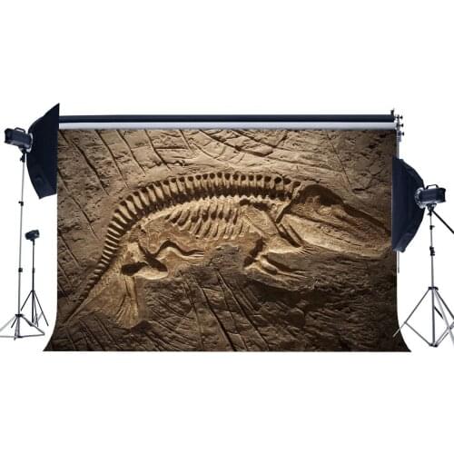 Dinosaur Fossils Backdrop Jurassic Period Cartoon Dreamy Photography Background