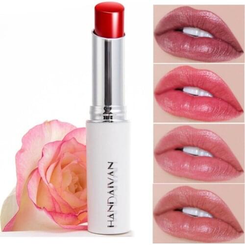 HANDAIYAN Matte Liquid Lipstick Kit 4 Colors/box Women Makeup Set Matt Lipstick Lips Make up Cosmetics Tint Lip Gloss Waterproof