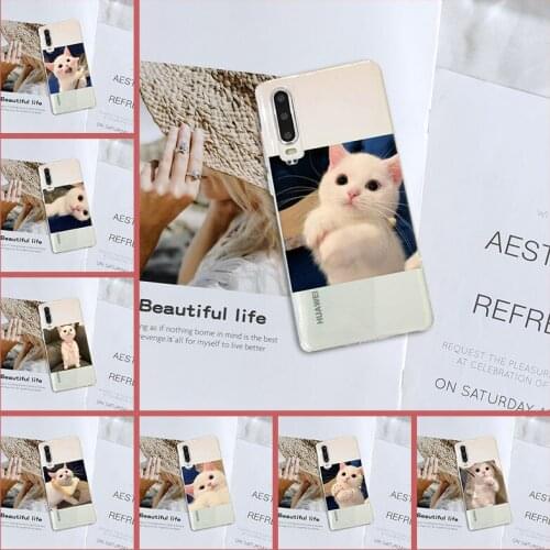 Kawaii Cat Funny Back Cover For Huawei P30 Lite Pro P Smart Z Soft Silicone Phone Case For Huawei P20 Lite P Smart Plus 2019