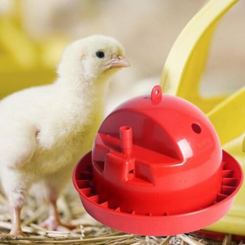 Durable Chick Drinking Bowl High Capacity Automatic Plastic Detachable Poultry Waterer for Pet Watering Feeding Accessories