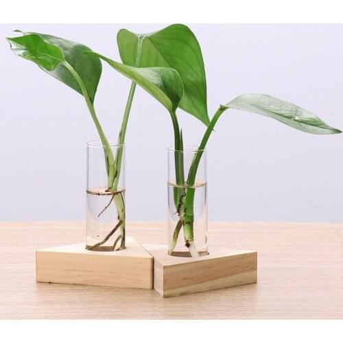 3x glass flower vases test tube vase with 2x wooden stand for home office decor