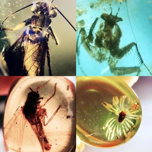 Reminiscence of ancient Myanmar Po] natural Myanmar amber insect Po pendant bracelet ring