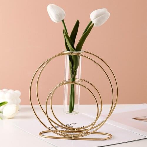 Nordic Geometric Iron Glass Vase for Plants Scindapsus Hydroponic Flower Stand Rack Living Room Table Ornament Home Decor