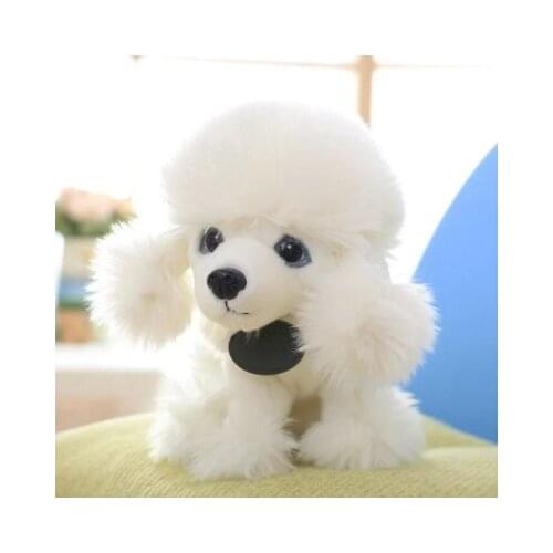 Lovely white poodle dog about 35 cm toy dog plush toy ,birthday gift x137