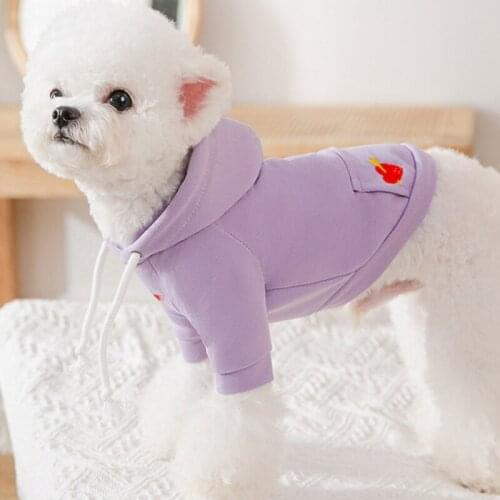Hoodie For Dogs Sweatshirt Schnauzer Cat Puppy Coat Outfit Dog Pet Clothes For Chihuahua York Pomeranian Bichon Winter Clothing