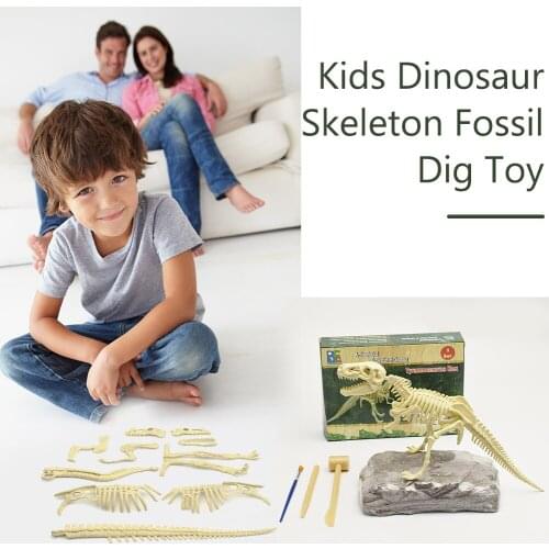 Assembled Model Building Kits Tool Dinosaur Skeleton Fossil DIY Digging Assembling Kids Teenager Educational Toys