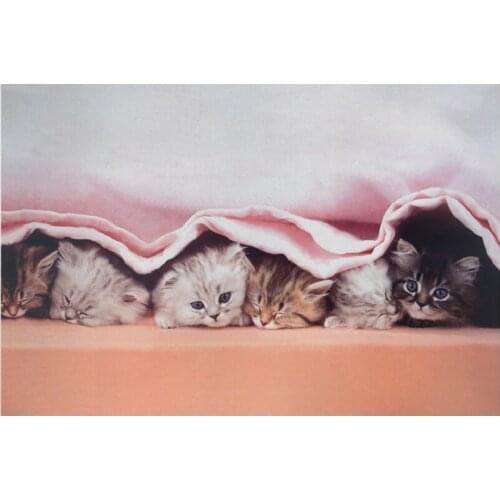 5D Diamond Embroidery Animal cat Full Square Drill Needlework Diy Diamond Painting Cross Stitch Kits Mosaic Crafts