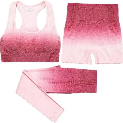 Seamless Women Yoga Workout Suit Sport Pants Bra Gym Fitness Shorts High Waist Running Leggings Sports Combination Set