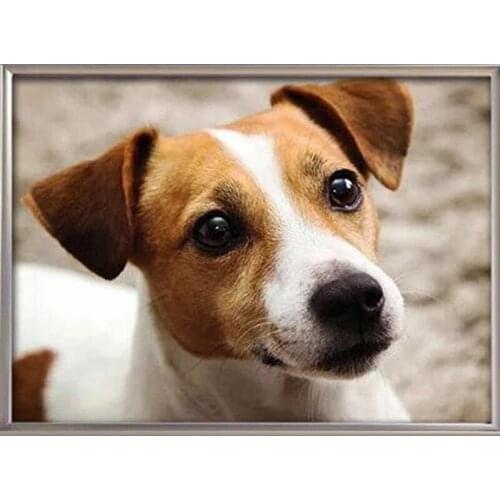 New DIY Animal dog Diamond Embroidery jack russell terrier 5d Full Square Diamond Painting,Cross Stitch,diamond picture pet P6